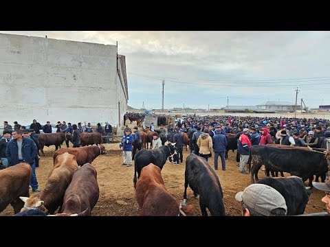 Видео: ХОРАЗМ ХАЗАРАСП МОЛ БОЗОРИ НАРХЛАРИ 27 ОКТЯБРЯ 2024Г