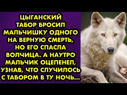 Видео: Цыганский табор бросил мальчишку одного на верную смерть, но его спасла волчица. А наутро мальчик…