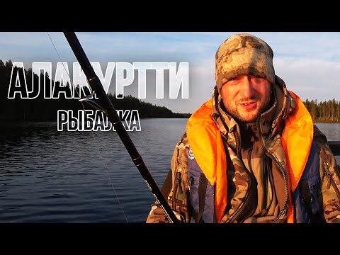 Видео: Кумжа, Хариус / Алакуртти