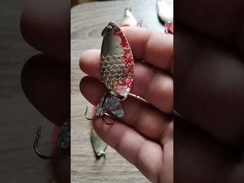 Видео: эта блесна собирает щуку