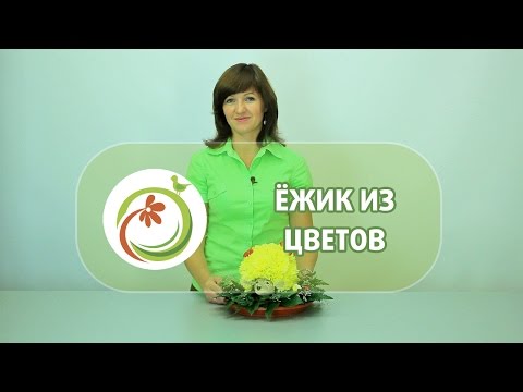 Видео: Как научиться делать ёжика из живых цветов. Мастер класс практической флористики.