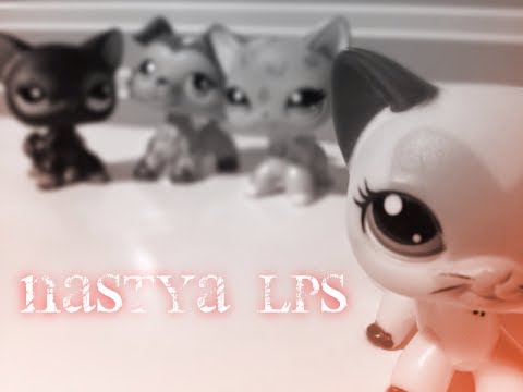 Видео: Littlest Pet Shop: Между огнем и водой ( 1 сезон 4 серия )