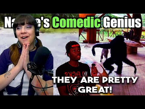 Видео: *Я их просто обожаю!* Это самое смешное животное на Земле, простите — Casual Geographic