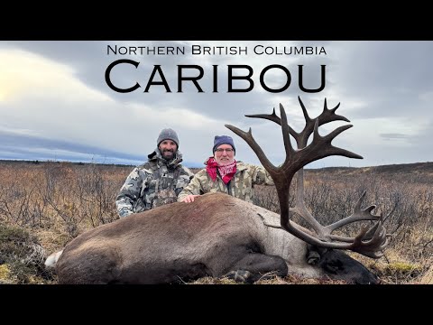 Видео: Охота на горного карибу в северной части Британской Колумбии, 2025 г., часть 1