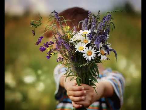 Видео: Здравствуй, моя мама-, новая песня спешите услышать, музыка слова исполнение Макс Кравецкий