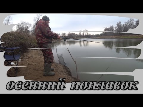 Видео: Рыбалка с берега на поплавок
