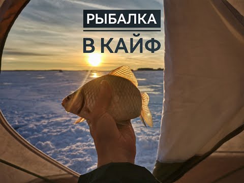 Видео: Карась раздаёт на Салтаиме...