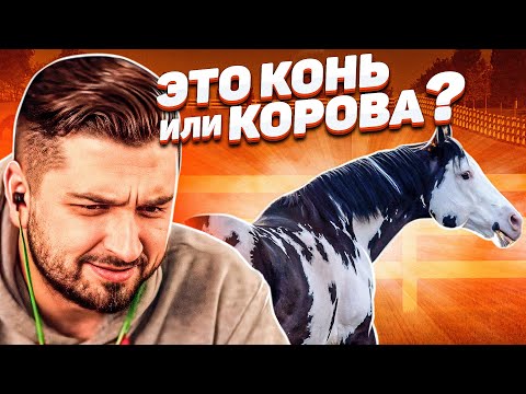 Видео: HARD PLAY СМОТРИТ ТЕМНАЯ СТОРОНА 12 МИНУТ СМЕХА ИЮЛЬ 2019 ЛУЧШИЕ ПРИКОЛЫ