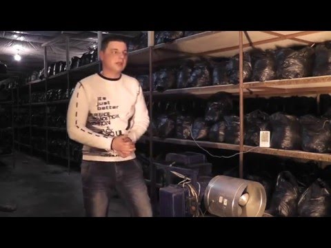 Видео: Как заработать на грибах. Пастеризация компоста.