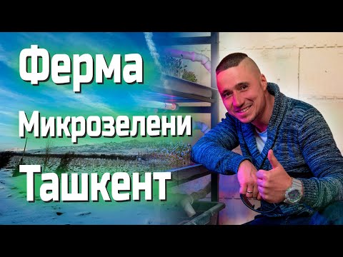 Видео: Бизнес  Микрозелень Узбекистан