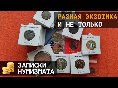 Видео: Экзотические монеты Африки, Азии, Ближнего Востока, Америки и не только