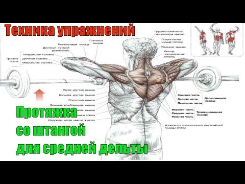 Видео: Протяжка со штангой для дельт. Нужна ли Тяга к подбородку