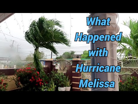 Видео: Что случилось с ураганом «Мелисса» в моем районе