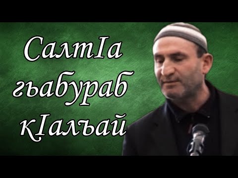 Видео: СалтIа гьабураб кIалъай