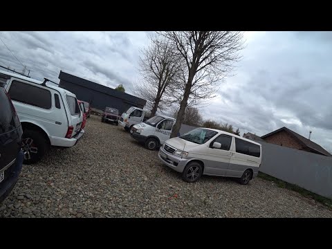 Видео: Есть Всё Очень Не дорого