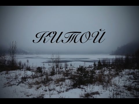 Видео: Китой