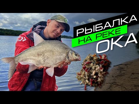 Видео: ЛОВЛЯ ЛЕЩА НА ФИДЕР / РЫБАЛКА НА ОКЕ / FROS FISHING