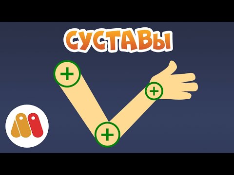 Видео: КАК СДЕЛАТЬ ПРАВИЛЬНО РАБОТАЮЩИЙ СУСТАВ В MOHO?