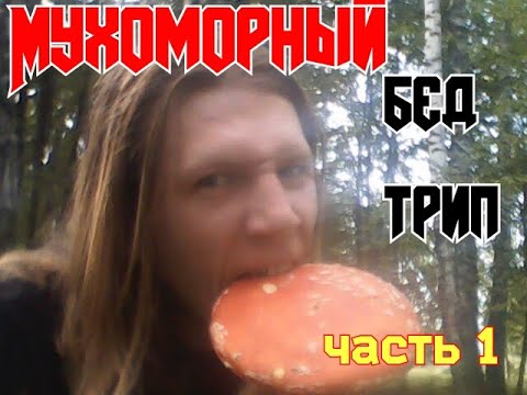 Видео: Передозировка мухоморами,жутчайший бэд трип,как я выжил.Часть 1