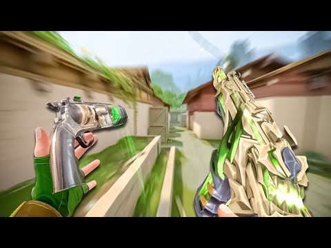 Видео: Точная цель + 0,4 800 точек на дюйм = Бессмертный