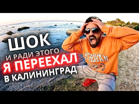 Видео: Зачем я сюда переехал/Калининград 2023/Куликово