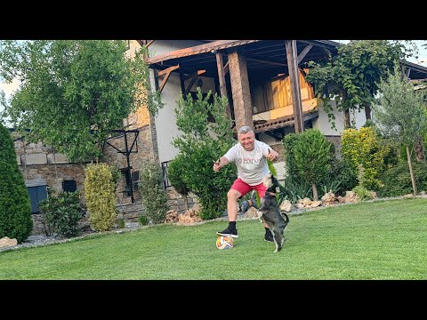 Видео: Билкариум в Guest Hause GIA част-4