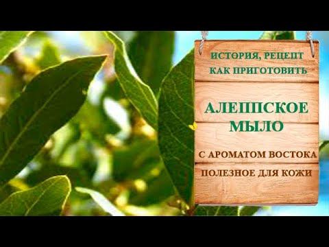 Видео: Мыло ручной работы  тип «Алеппское мыло» 25%».