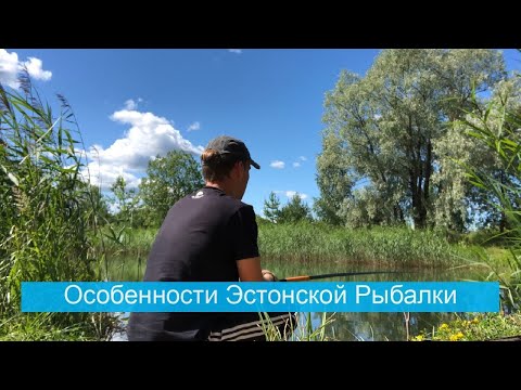 Видео: Отдыхаю в Эстонии | Рыбалка