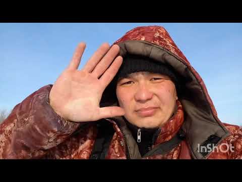 Видео: Окуневый Бум: охота за гигантами льда   #рыбалка #fishing #окунь #хищники 