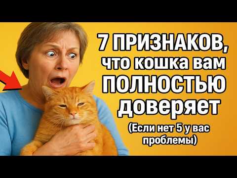 Видео: 7 ПРИЗНАКОВ, что кошка вам ПОЛНОСТЬЮ доверяет. (Если нет №5 — у вас проблемы)