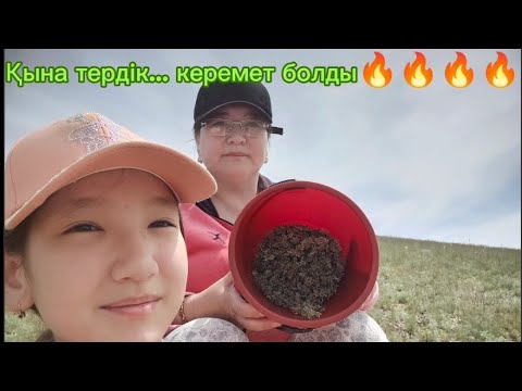 Видео: ҚЫНА ТЕРДІК.... ОНЫ НЕ ІСТЕЙМІЗ? 🥺