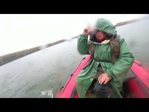 Видео: ЗЛАЯ БАРБАРА НАКРЫЛА ЯУЗУ....