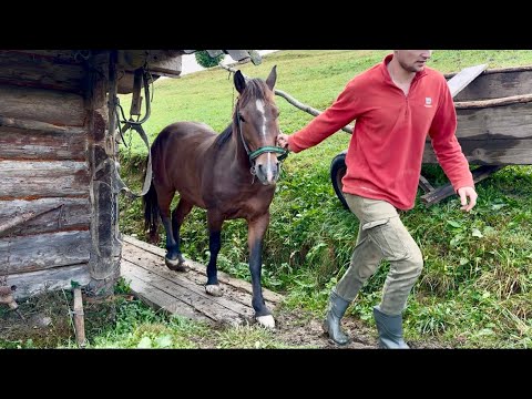 Видео: Семейная жизнь в горах.