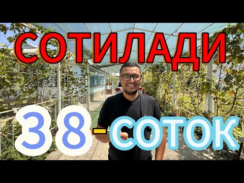 Видео: ЖУДА АРЗОН 38-СОТОКЛИ УЙ-ЖОЙ ХОВЛИ ХОНАДОН ТЕЗДА СОТИЛАДИ.