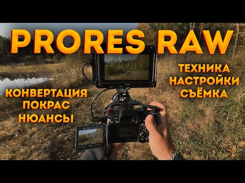 Видео: Всё о ProRes RAW и покрасе в Windows