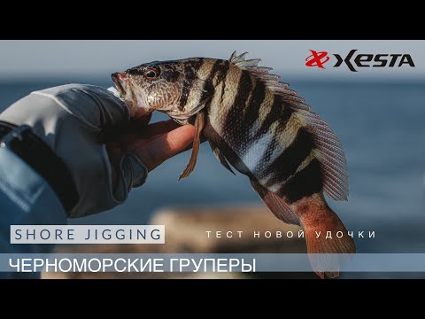 Видео: Черноморские груперы на пилькеры. Тест Xesta Runway SRF 10.3M. Shore Jigging на Черном море🎣