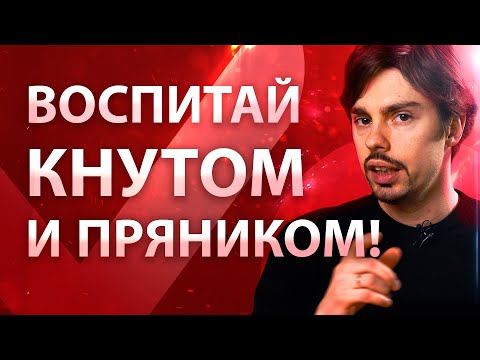 Видео: Как заставить ребёнка учиться? Почему мы не продолжаем учиться после вуза?
