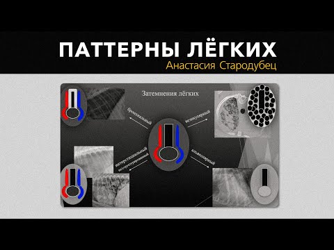 Видео: Паттерны лёгких