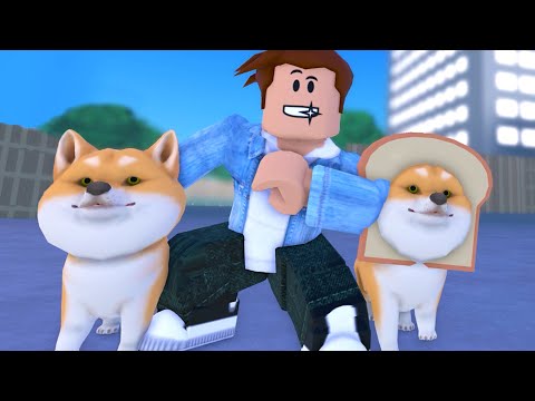 Видео: Приют для Собак 🏠 Кид стал собакой Doge Story Roblox