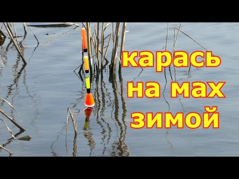 Видео: Ловля карася на удочку по холодной воде. Рыбалка на карася в конце зимы. Маховая удочка зимой