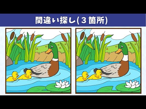 Видео: Найдите 3 отличия | Иллюстрация Версия #419