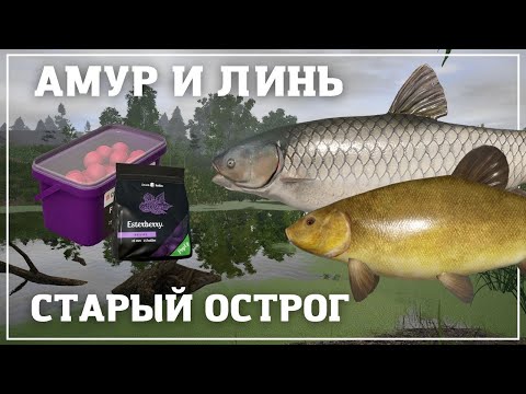Видео: Старый Острог пошел на Линя а наловил Амуров!!!!!!  РР4