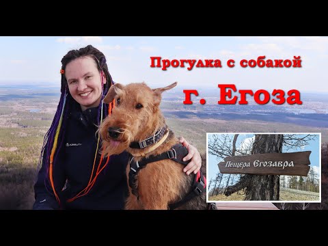 Видео: С собакой в горы. Прогулка по Егозе.