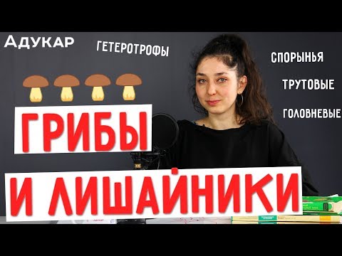 Видео: Грибы и лишайники | Биология ЦТ, ЕГЭ