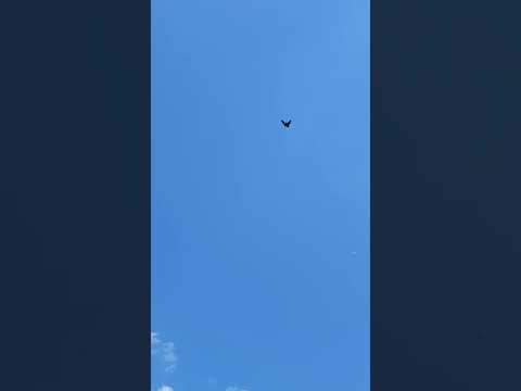Видео: 3 июня 2025 г.