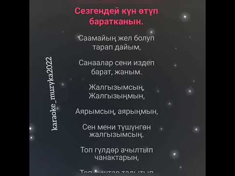 Видео: Нурайым Акылбекова Жалгызымсын Караоке🎙  Текст песни  Автор: Сыймык Бейшекее