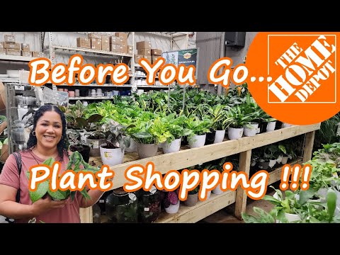 Видео: Прежде чем покупать растения в Home Depot, посмотрите это!🌿