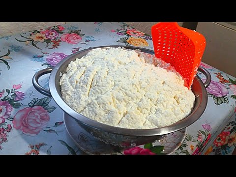Видео: Почему не скисает молоко Зимой❄🥛