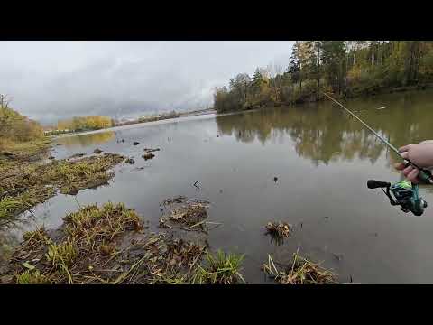 Видео: Проверка щучьих мест: окунь на мормышинг  в любую погоду