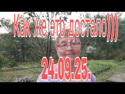 Видео: Как всё это достало ))) 